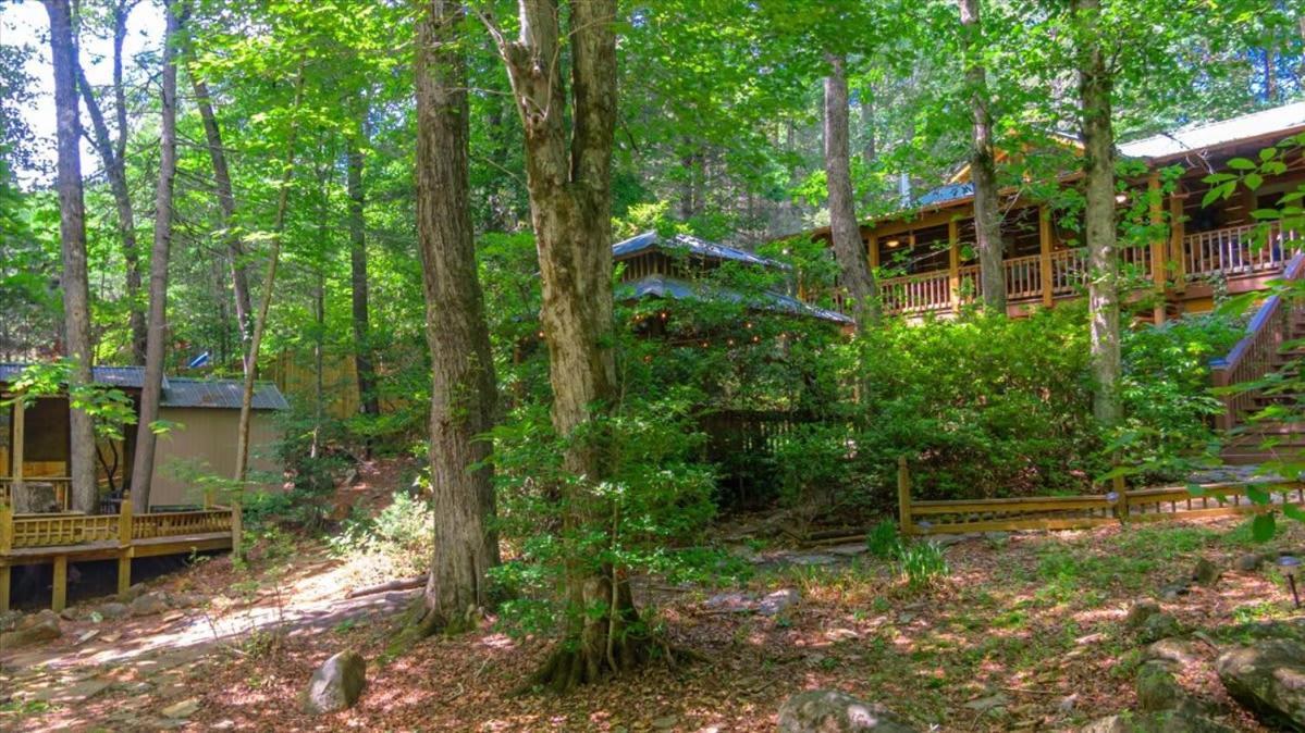 蓝岭Waterfront Mountain Cabin With Hot Tub别墅 外观 照片
